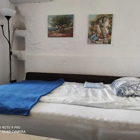 Ellena Sunshine Pensiune 3*