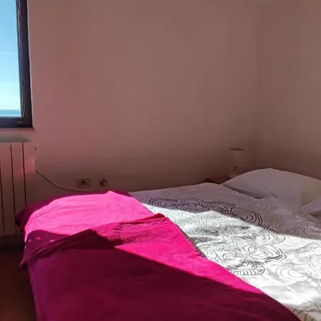 ゲストハウス Ellena Sunshine オパティヤ