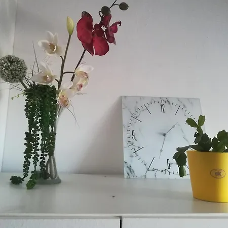 Ellena Sunshine オパティヤ