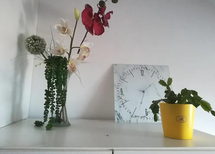 Ellena Sunshine Abbázia