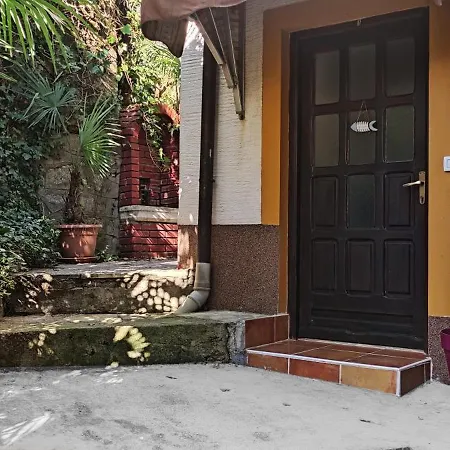 Ellena Sunshine Опатия